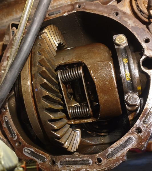 20200517_121246 (3).jpg